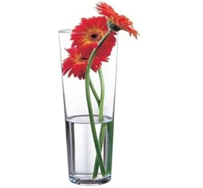 Ваза для квітів Pasabahce Botanica 26 см 43177