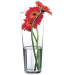 Ваза для квітів Pasabahce Botanica 26 см 43177