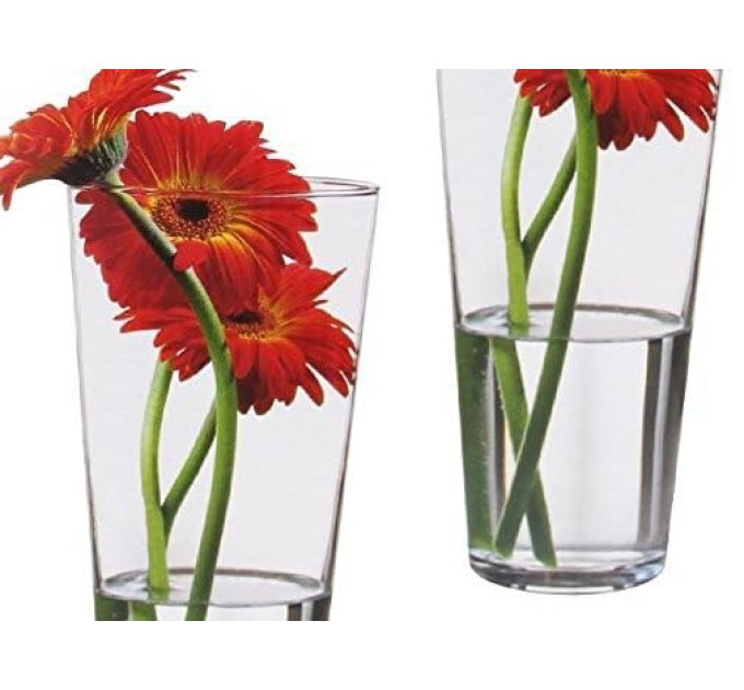 Ваза для квітів Pasabahce Botanica 26 см 43177