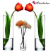 Ваза для цветов Pasabahce Botanica 26.5 см 43767